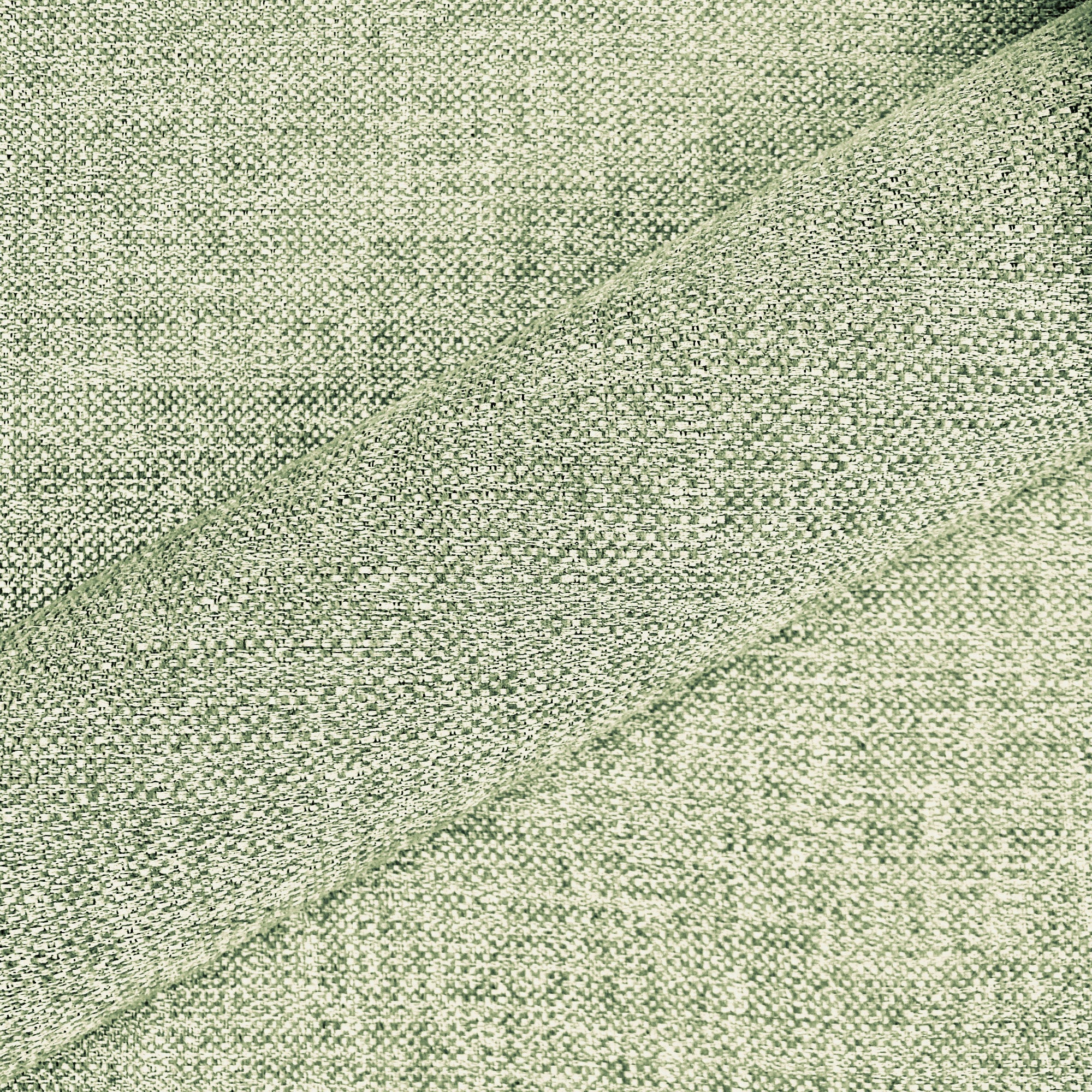 Aragon Palm Chenille Upholstery Fabric 55"